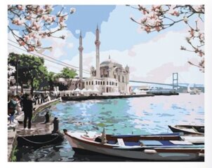 Maalaus numeroiden mukaan "Istanbul" 40x50 hinta ja tiedot | Maalaa numeroiden mukaan | hobbyhall.fi