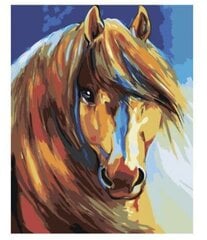 Maalaus numeroiden mukaan "Hevosen ulkonäkö" 40x50 hinta ja tiedot | Maalaa numeroiden mukaan | hobbyhall.fi