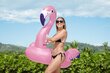 Ilmatäytteinen flamingo 153x143cm, Bestway 41475 hinta ja tiedot | Puhallettavat vesilelut ja uima-asusteet | hobbyhall.fi
