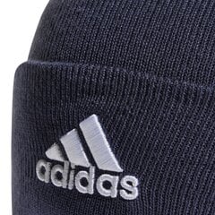 Adidas pipo Logo Beanie Blue HL4809 hinta ja tiedot | Miesten hatut, huivit ja käsineet | hobbyhall.fi