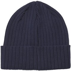 Reebok Pipo Te Beanie Blue GH0430 hinta ja tiedot | Miesten hatut, huivit ja käsineet | hobbyhall.fi