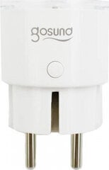 Gosund | NiteBird Älypistoke WiFi Gosund SP111 3680W 16A, Tuya hinta ja tiedot | Kytkimet ja pistorasiat | hobbyhall.fi