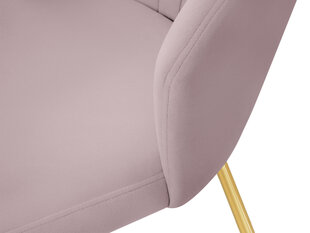 Tuoli Cosmopolitan Design Borneo, vaaleanpunainen hinta ja tiedot | Ruokapöydän tuolit | hobbyhall.fi