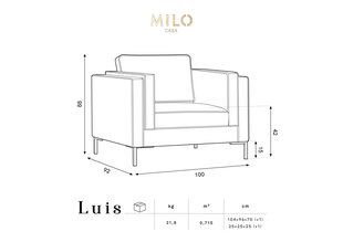 Nojatuoli Luis 1, beige/kulta hinta ja tiedot | Nojatuolit | hobbyhall.fi