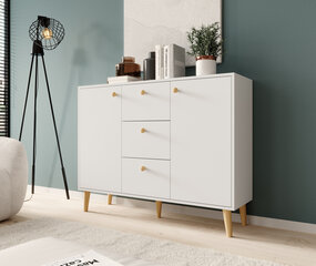 Senkki ADRK Furniture Besa 2D3S, valkoinen/ruskea kaina ir informacija | Lipastot | hobbyhall.fi