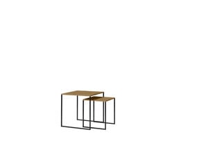 2 sohvapöydän setti ADRK Furniture Aria, ruskea hinta ja tiedot | Sohvapöydät | hobbyhall.fi