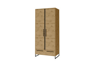 Kaappi ADRK Furniture Aria 2D, ruskea hinta ja tiedot | Kaapit | hobbyhall.fi