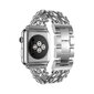 Apple Watch Chain Teräsranneke – Hopea 42/44/45mm hinta ja tiedot | Älykellojen ja aktiivisuusrannekkeiden lisätarvikkeet | hobbyhall.fi