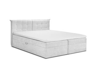 Sänky Mazzini Beds Echaveria 200x200 cm, vaaleanharmaa hinta ja tiedot | Sängyt | hobbyhall.fi