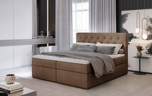 Sänky NORE Loree 06, 160x200 cm, ruskea hinta ja tiedot | Sängyt | hobbyhall.fi