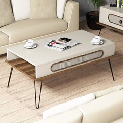 Sohvapöytä Kalune Design, 845, valkoinen/ruskea hinta ja tiedot | Sohvapöydät | hobbyhall.fi