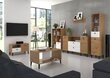 Sohvapöytä ADRK Furniture CLE09, ruskea/valkoinen hinta ja tiedot | Sohvapöydät | hobbyhall.fi