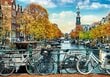 Palapeli Amsterdam Trefl, 1000 palaa hinta ja tiedot | Palapelit | hobbyhall.fi