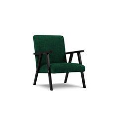 Nojatuoli Browne, 79x59x78 cm, vihreä hinta ja tiedot | Nojatuolit | hobbyhall.fi