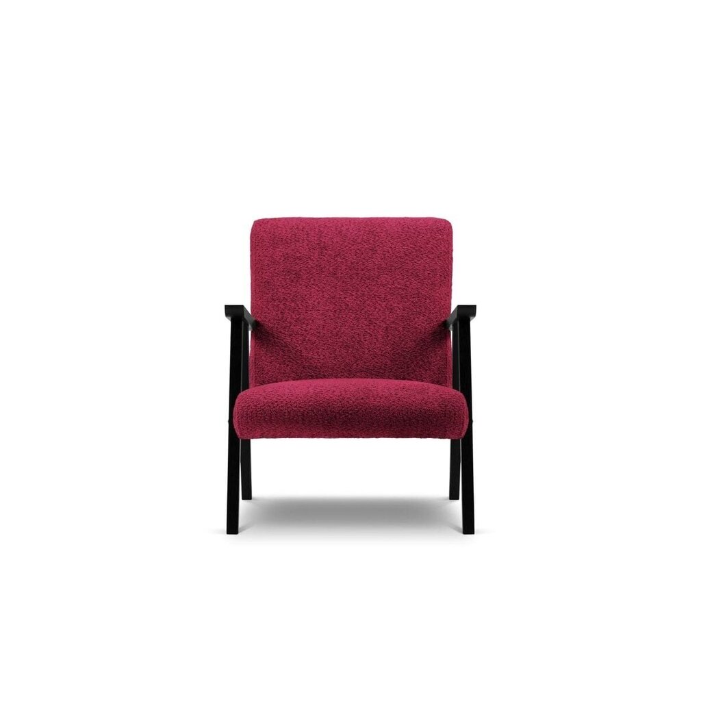 Nojatuoli Browne, 79x59x78 cm, punainen hinta ja tiedot | Nojatuolit | hobbyhall.fi