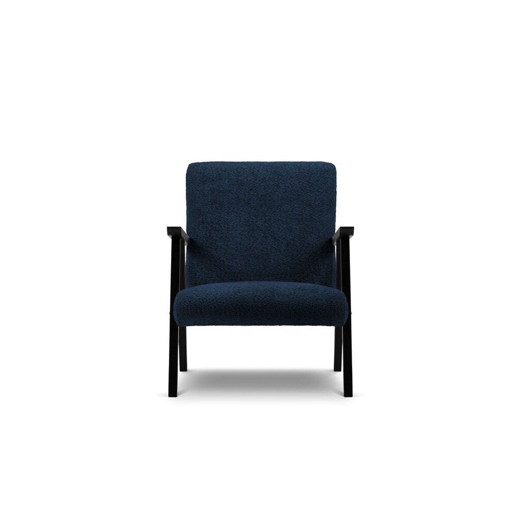 Nojatuoli Browne, 79x59x78 cm, sininen hinta ja tiedot | Nojatuolit | hobbyhall.fi