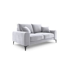 Kahden istuttava sohva Velvet Larnite, 172x102x90 cm, harmaa hinta ja tiedot | Sohvat ja vuodesohvat | hobbyhall.fi