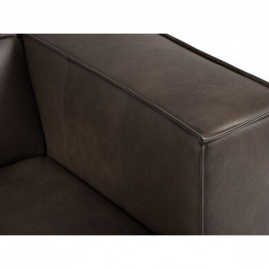 Nahkainen nojatuoli Agawa, 113x95x68 cm, ruskea hinta ja tiedot | Nojatuolit | hobbyhall.fi