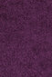 Matto Ayyildiz Shaggy Dream Lila 4000, 120x170 cm hinta ja tiedot | Isot matot | hobbyhall.fi