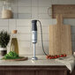 Electrolux E5HB1-8SS hinta ja tiedot | Sauvasekoittimet ja silppurit | hobbyhall.fi