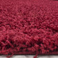 Matto Ayyildiz Shaggy Dream Red 4000, Ø 120 cm hinta ja tiedot | Isot matot | hobbyhall.fi