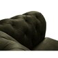 Nojatuoli Lapis, 114x90x80 cm, tummanvihreä hinta ja tiedot | Nojatuolit | hobbyhall.fi