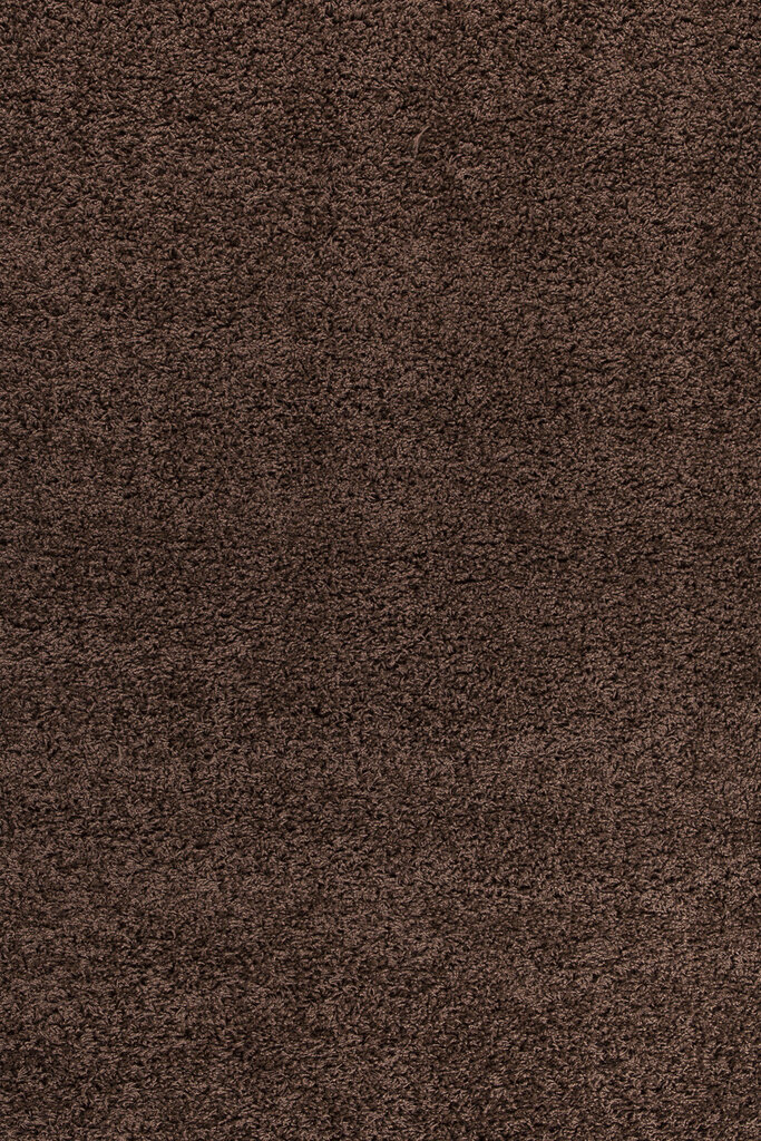 Ayyildiz Shaggy Dream matto, ruskea 4000, 160x230 cm hinta ja tiedot | Isot matot | hobbyhall.fi