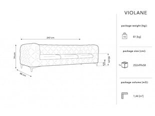 Sohva Micadoni Home Violane, beige hinta ja tiedot | Sohvat ja vuodesohvat | hobbyhall.fi