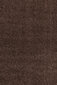 Ayyildiz Shaggy Dream matto, ruskea 4000, 60x110 cm hinta ja tiedot | Isot matot | hobbyhall.fi