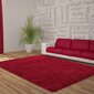 Matto Ayyildiz Shaggy Dream Red 4000, 160x230 cm hinta ja tiedot | Isot matot | hobbyhall.fi