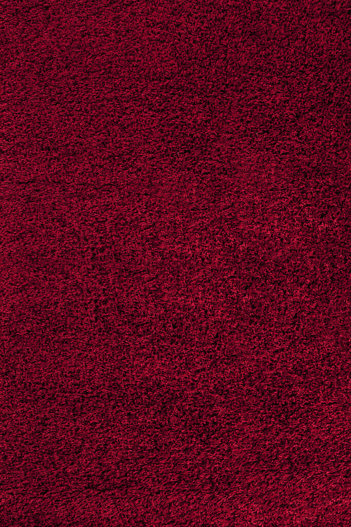 Matto Ayyildiz Shaggy Dream Red 4000, 200x290 cm hinta ja tiedot | Isot matot | hobbyhall.fi