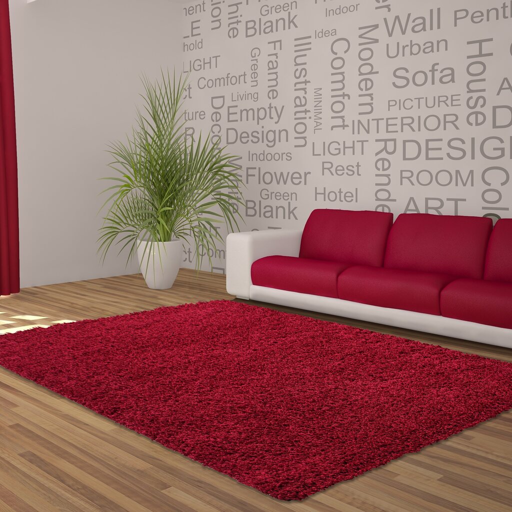 Ayyildiz Shaggy Dream matto, punainen 4000, 80x150 cm hinta ja tiedot | Isot matot | hobbyhall.fi