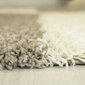 Ayyildiz Shaggy Gala matto, beige 2505, 200x290 cm hinta ja tiedot | Isot matot | hobbyhall.fi