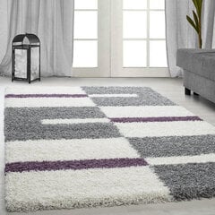 Matto Ayyildiz Shaggy Gala Purple 2505, 120x170 cm hinta ja tiedot | Isot matot | hobbyhall.fi