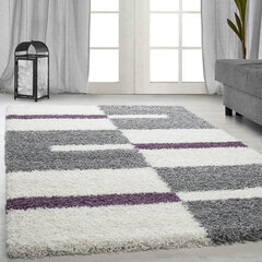 Matto Ayyildiz Shaggy Gala Purple 2505, 160x230 cm hinta ja tiedot | Isot matot | hobbyhall.fi