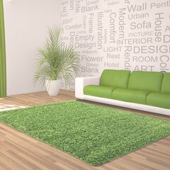 Ayyildiz Shaggy Dream matto, green 4000, 160x230 cm hinta ja tiedot | Isot matot | hobbyhall.fi
