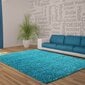 Matto Ayyildiz Shaggy Dream Turkis 4000 80x150 cm hinta ja tiedot | Isot matot | hobbyhall.fi