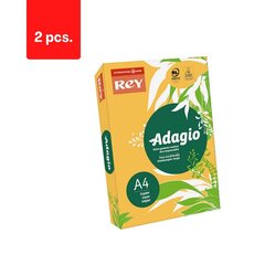 Värillinen paperi Rey Adagio A4, 80 g/m2, 500 arkkia, 2 kpl. hinta ja tiedot | Toimistotarvikkeet | hobbyhall.fi