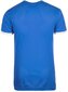 Puma T-paita Pitch Shortsleeved Shirt Blue hinta ja tiedot | Poikien paidat | hobbyhall.fi