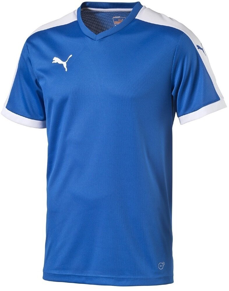 Puma T-paita Pitch Shortsleeved Shirt Blue hinta ja tiedot | Poikien paidat | hobbyhall.fi