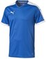 Puma T-paita Pitch Shortsleeved Shirt Blue hinta ja tiedot | Poikien paidat | hobbyhall.fi