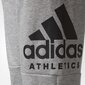 Adidas Housut Yb Sid Pants Grey hinta ja tiedot | Poikien housut | hobbyhall.fi