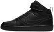 Nike Jalkineet Court Borough Mid 2 Black hinta ja tiedot | Lasten urheilukengät | hobbyhall.fi