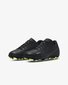 Nike Jalkineet Jr Vapor 15 Club Fg/Mg Black DJ5958 001 hinta ja tiedot | Jalkapallovaatteet ja -varusteet | hobbyhall.fi