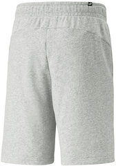 Puma Shortsit Ess+ 2 Col Shorts Grey 586766 04 hinta ja tiedot | Miesten shortsit | hobbyhall.fi