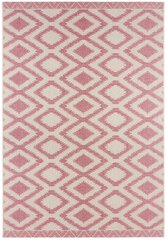 Northrugs matto Botany Isle Pink, 70x140 cm hinta ja tiedot | Isot matot | hobbyhall.fi