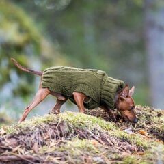Neule Rukka Wolly, eri kokoja, vihreä hinta ja tiedot | Koiran vaatteet | hobbyhall.fi
