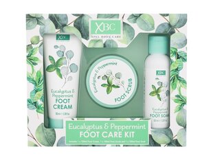 Xpel Setti jalkojenhoitoon, Eucalyptus & Peppermint: jalkakuorinta, 100 ml + jalkageeli liotukseen, 100 ml + jalkavoide, 100 ml hinta ja tiedot | Xpel Vartalonhoito | hobbyhall.fi