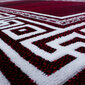 Matto Ayyildiz Parma punainen 9340, 80x300 cm hinta ja tiedot | Isot matot | hobbyhall.fi