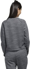 Adidas Jumpperi W E Sweat Ft Grey FL9189/S hinta ja tiedot | Naisten urheiluvaatteet | hobbyhall.fi